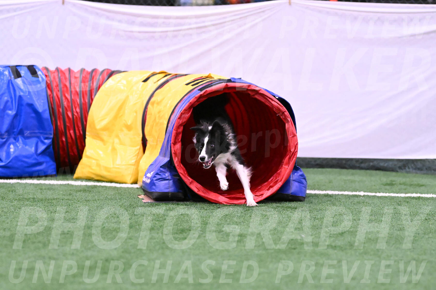 Keeper-Laurie-Wischt-11823