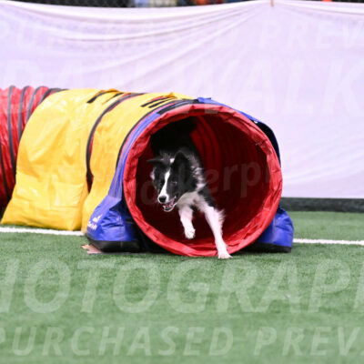 Keeper-Laurie-Wischt-11823