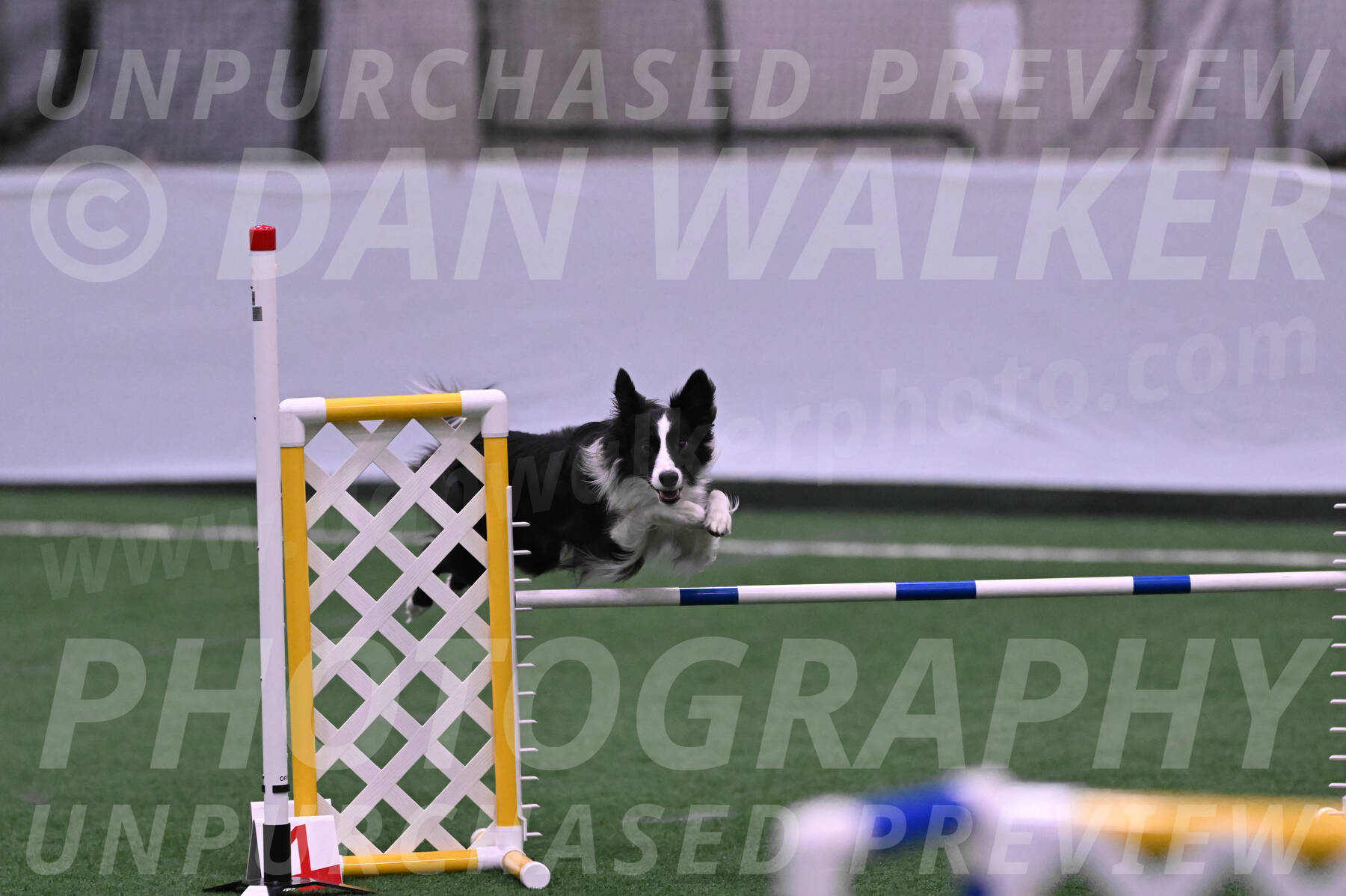 Keeper-Laurie-Wischt-11838