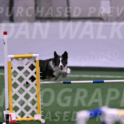 Keeper-Laurie-Wischt-11838