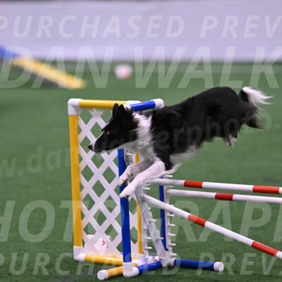 Keeper-Laurie-Wischt-11846