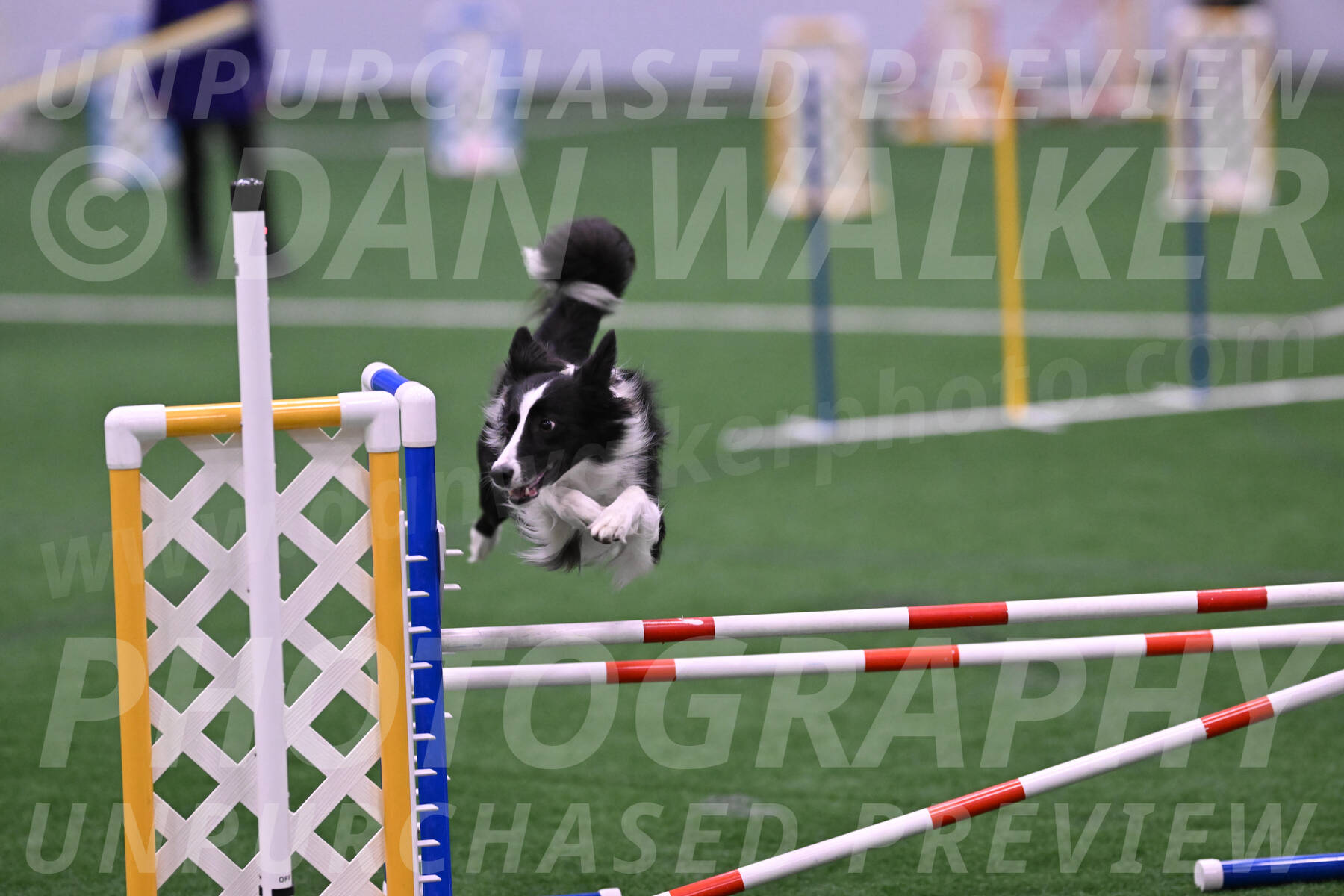 Keeper-Laurie-Wischt-12014