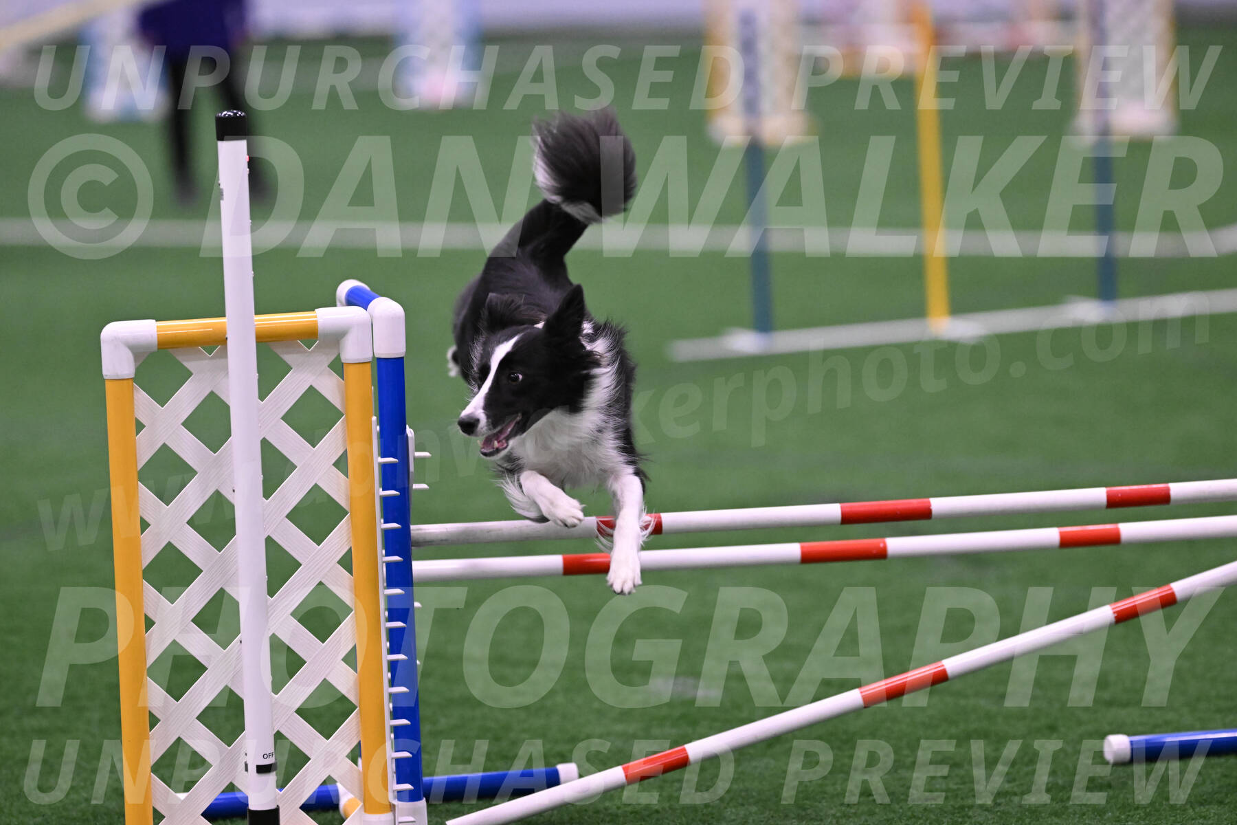 Keeper-Laurie-Wischt-12015