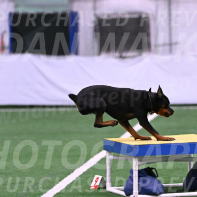 Kit-Katrina-Koehnle-24905