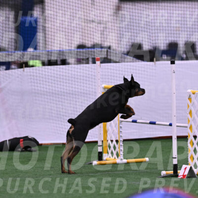 Kit-Katrina-Koehnle-24940