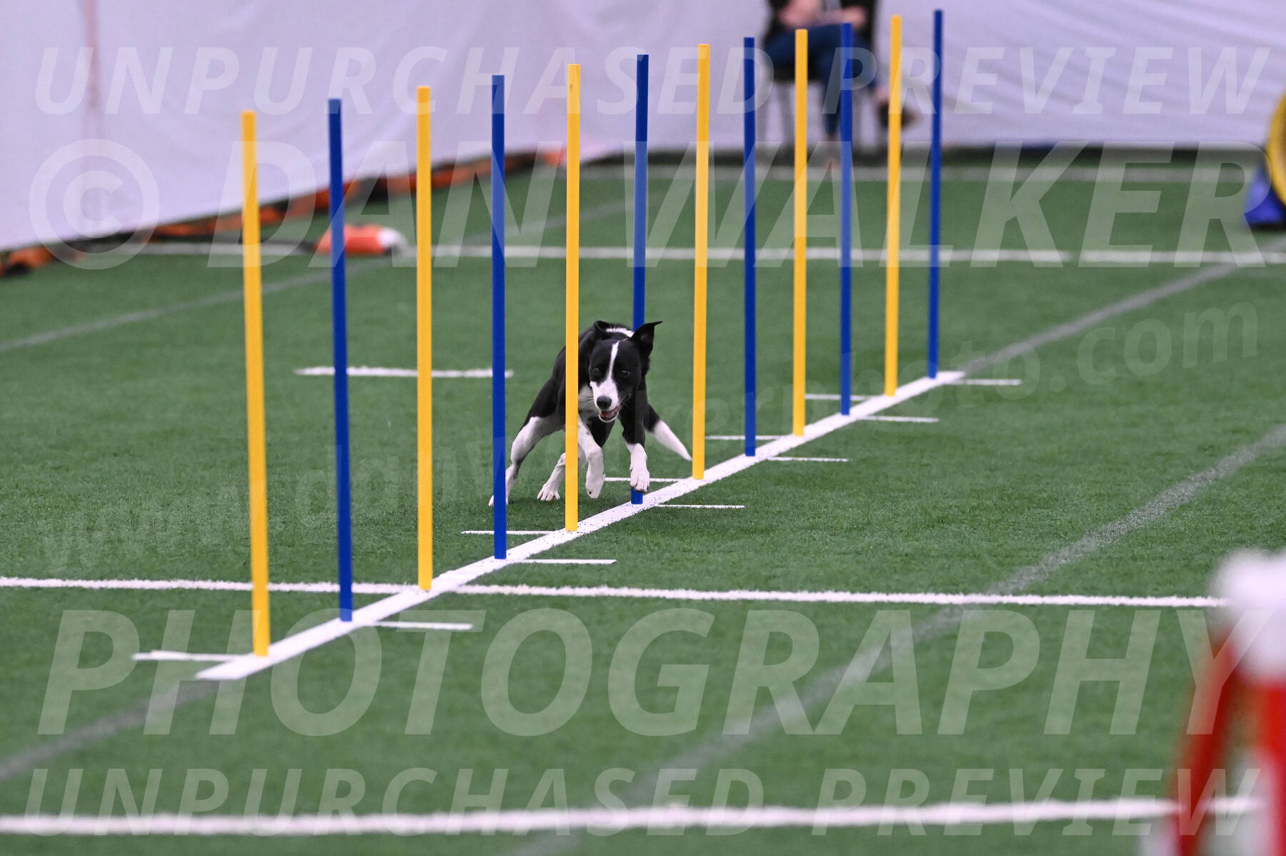 Krypto-Robin-Gray-08082