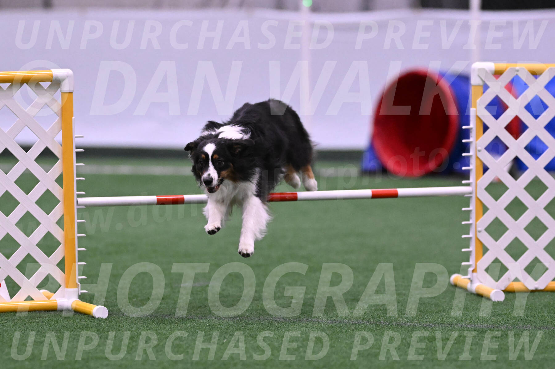 Lily-Claudia-Brydon-23741