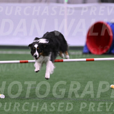 Lily-Claudia-Brydon-23741