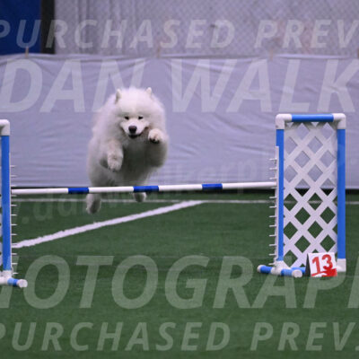 Loki-Mark-Majidzadeh-18777