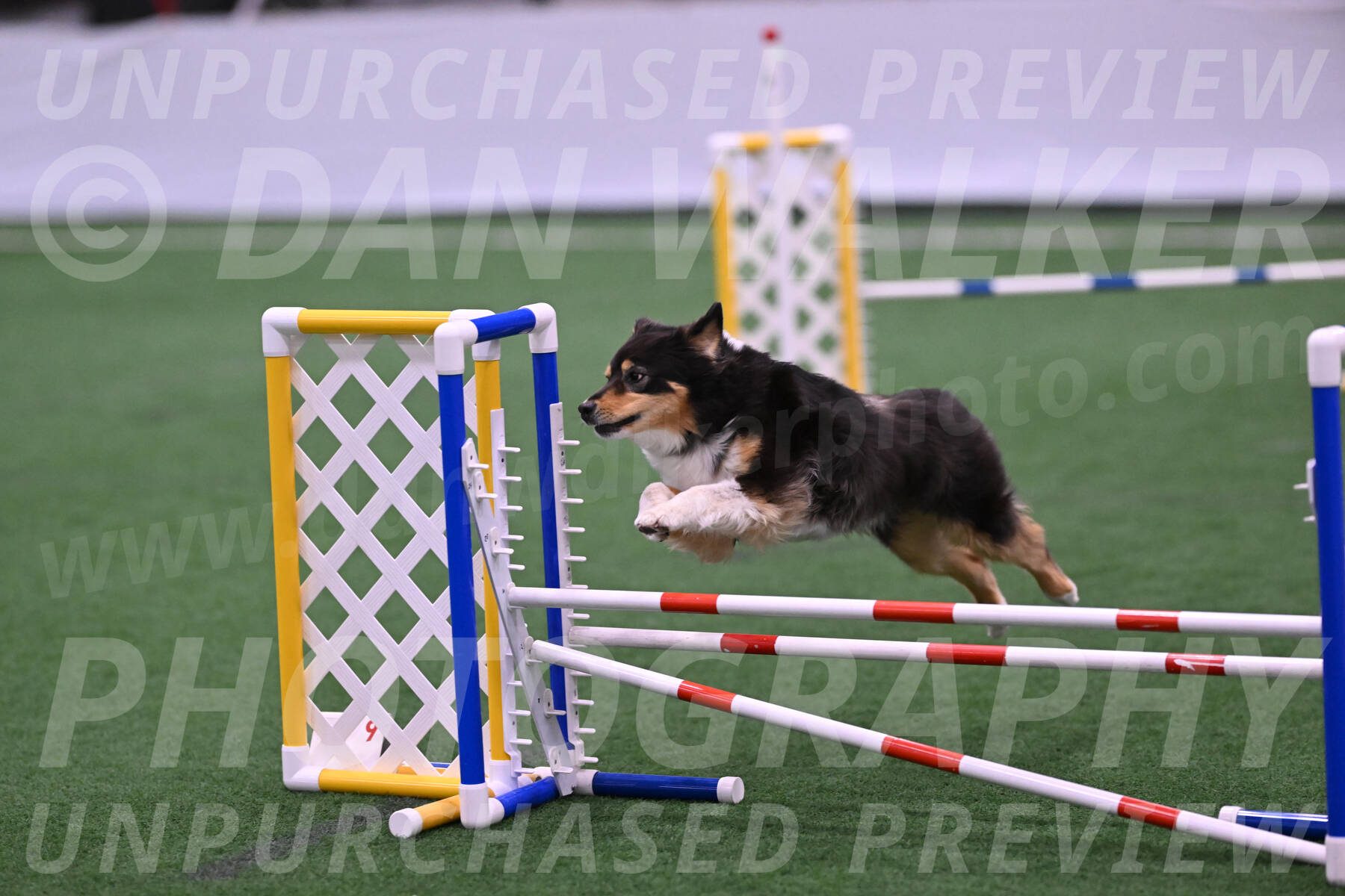 Maddie-Helene-Weber-28880