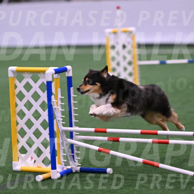 Maddie-Helene-Weber-28880
