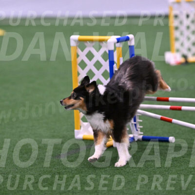 Maddie-Helene-Weber-28883