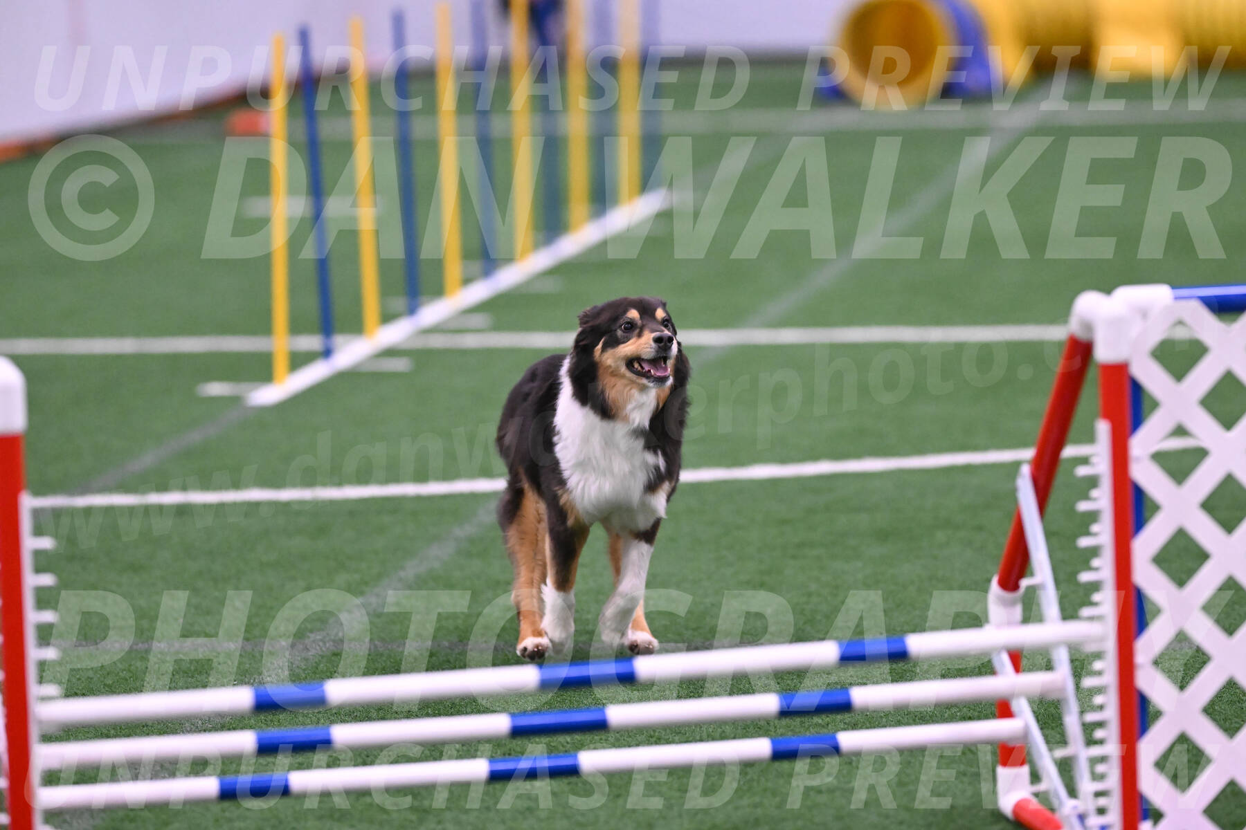 Maddie-Helene-Weber-28906