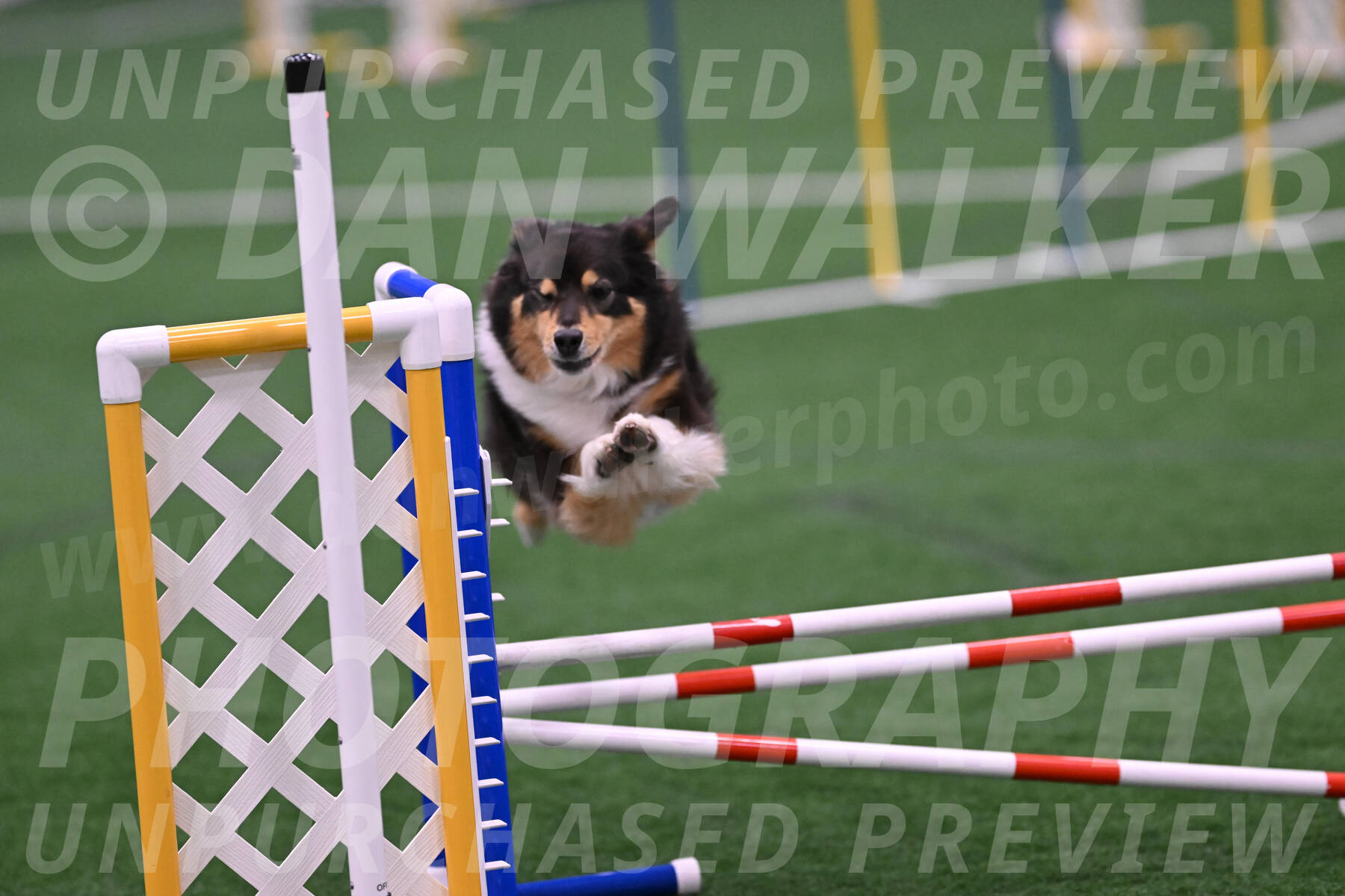 Maddie-Helene-Weber-28928