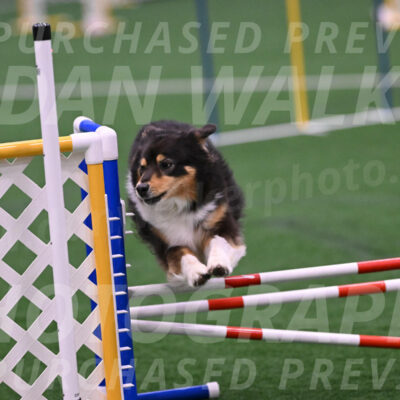 Maddie-Helene-Weber-28929