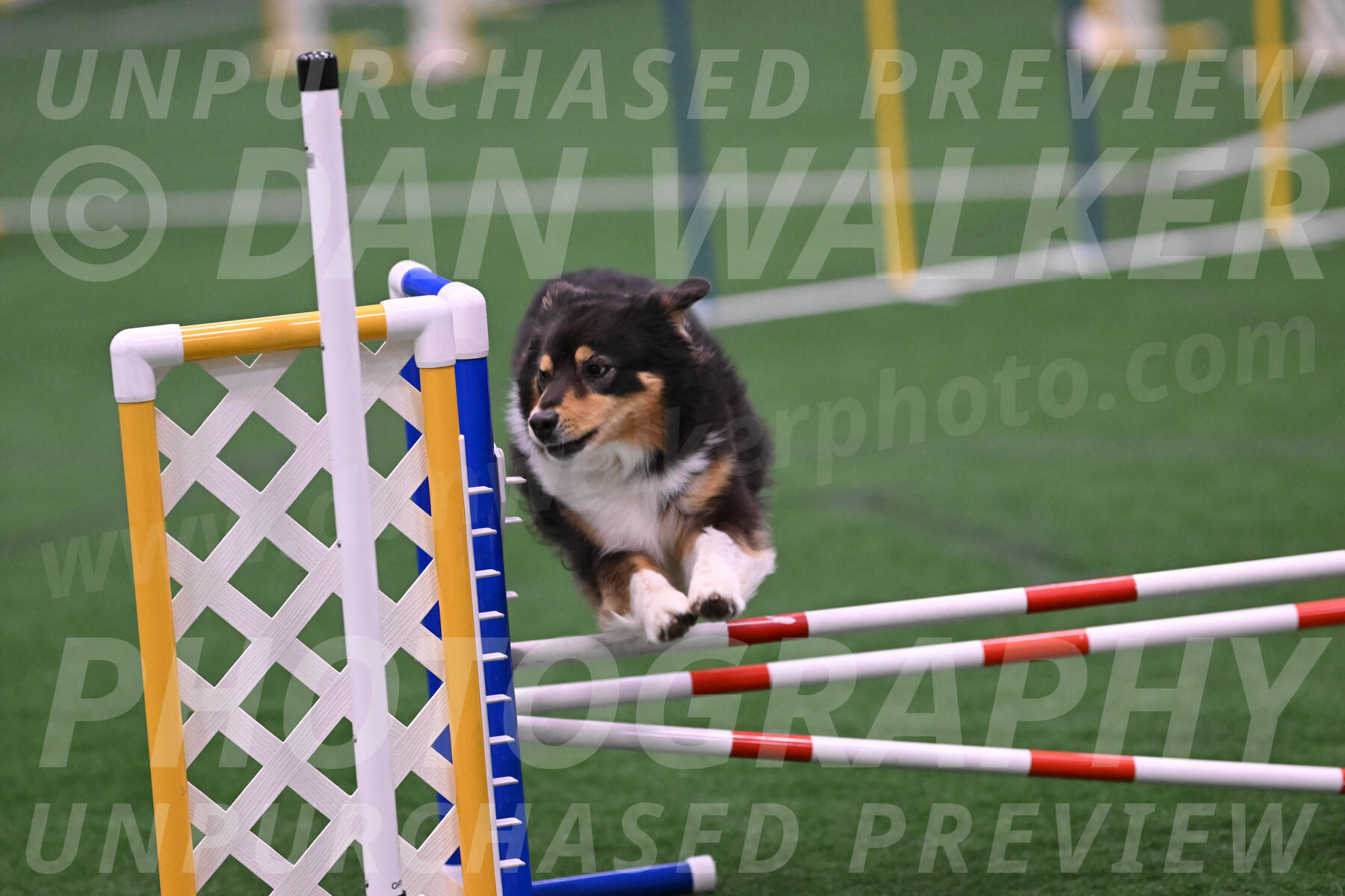 Maddie-Helene-Weber-28929