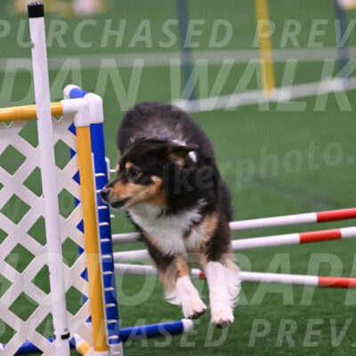 Maddie-Helene-Weber-28930
