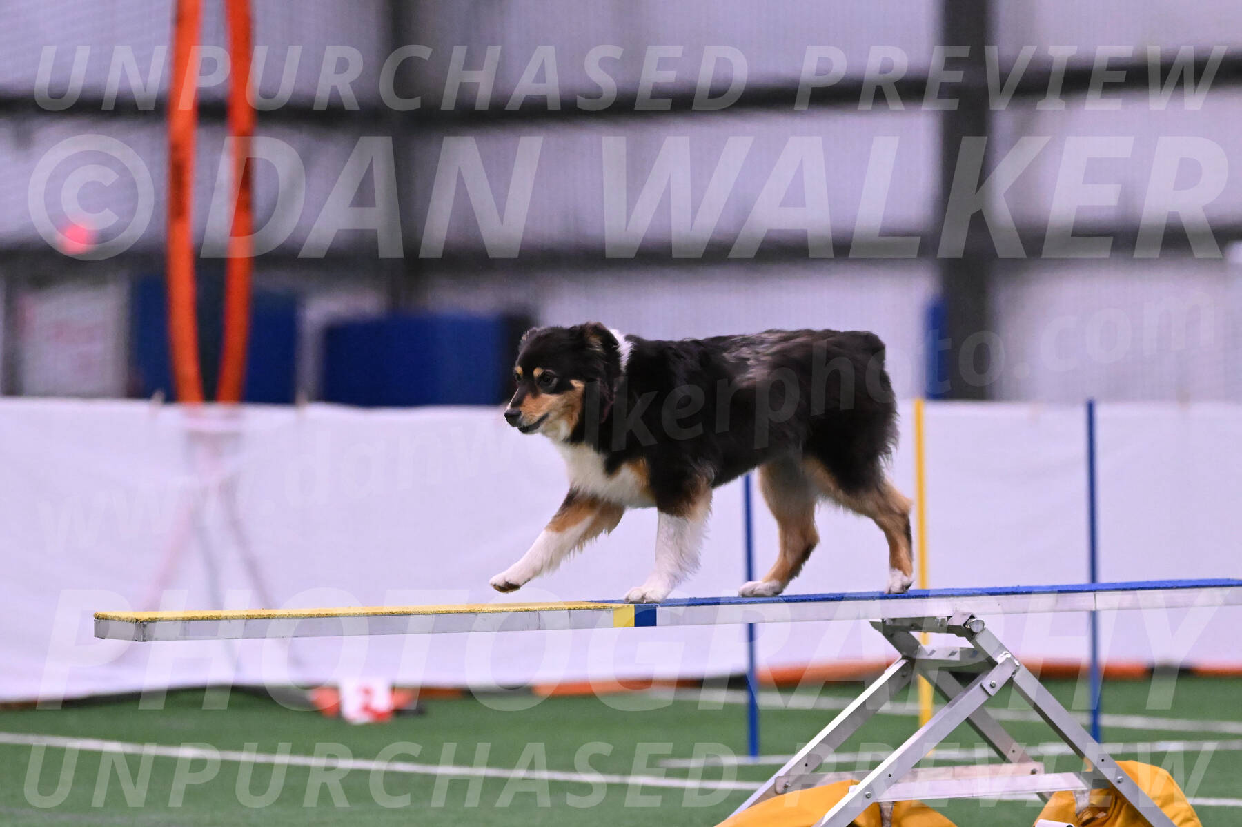 Maddie-Helene-Weber-28974