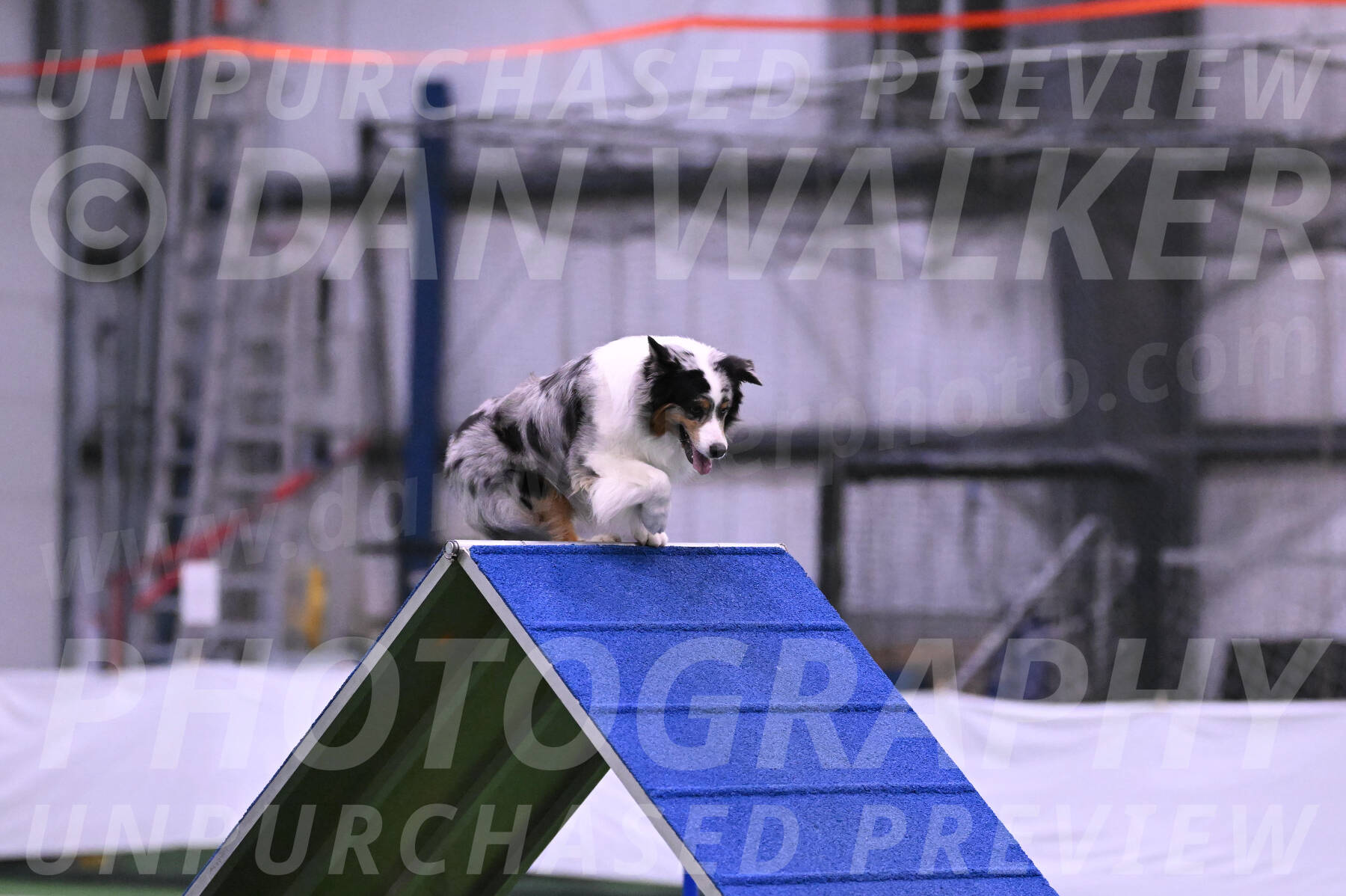Maverick-Rebecca-McMillion-12162