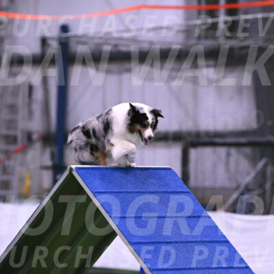 Maverick-Rebecca-McMillion-12162