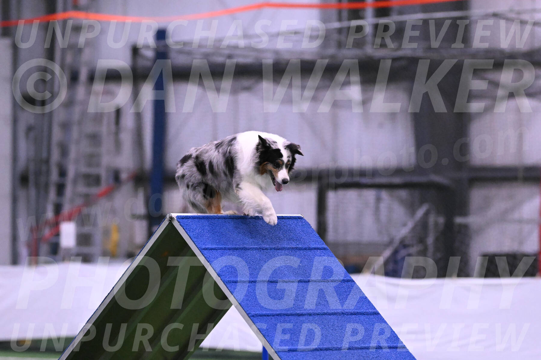 Maverick-Rebecca-McMillion-12163