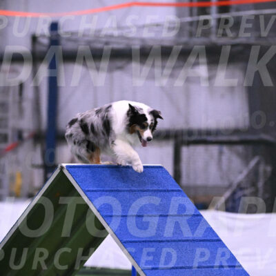 Maverick-Rebecca-McMillion-12163