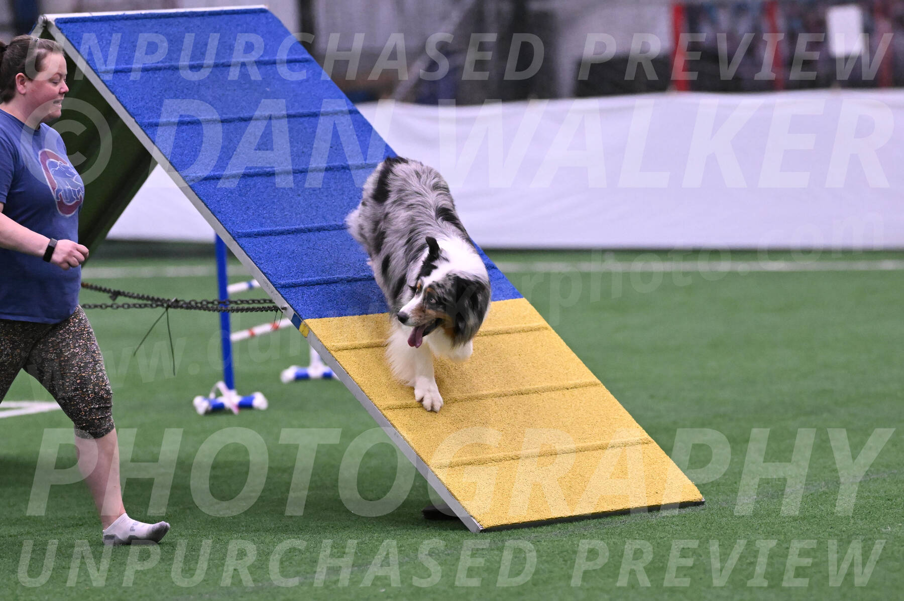 Maverick-Rebecca-McMillion-12164
