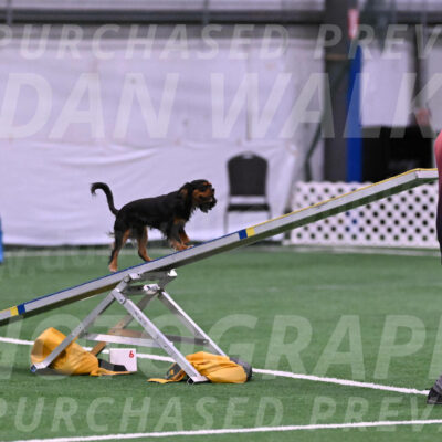 Max-Roger-Jones-05071