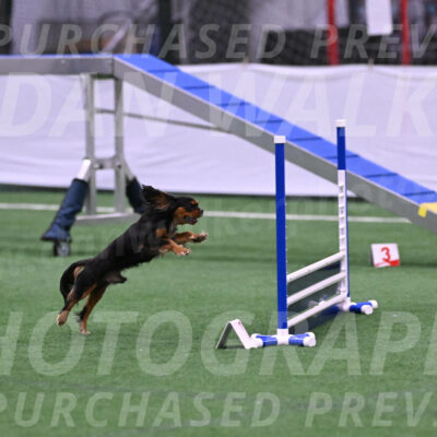 Max-Roger-Jones-05075