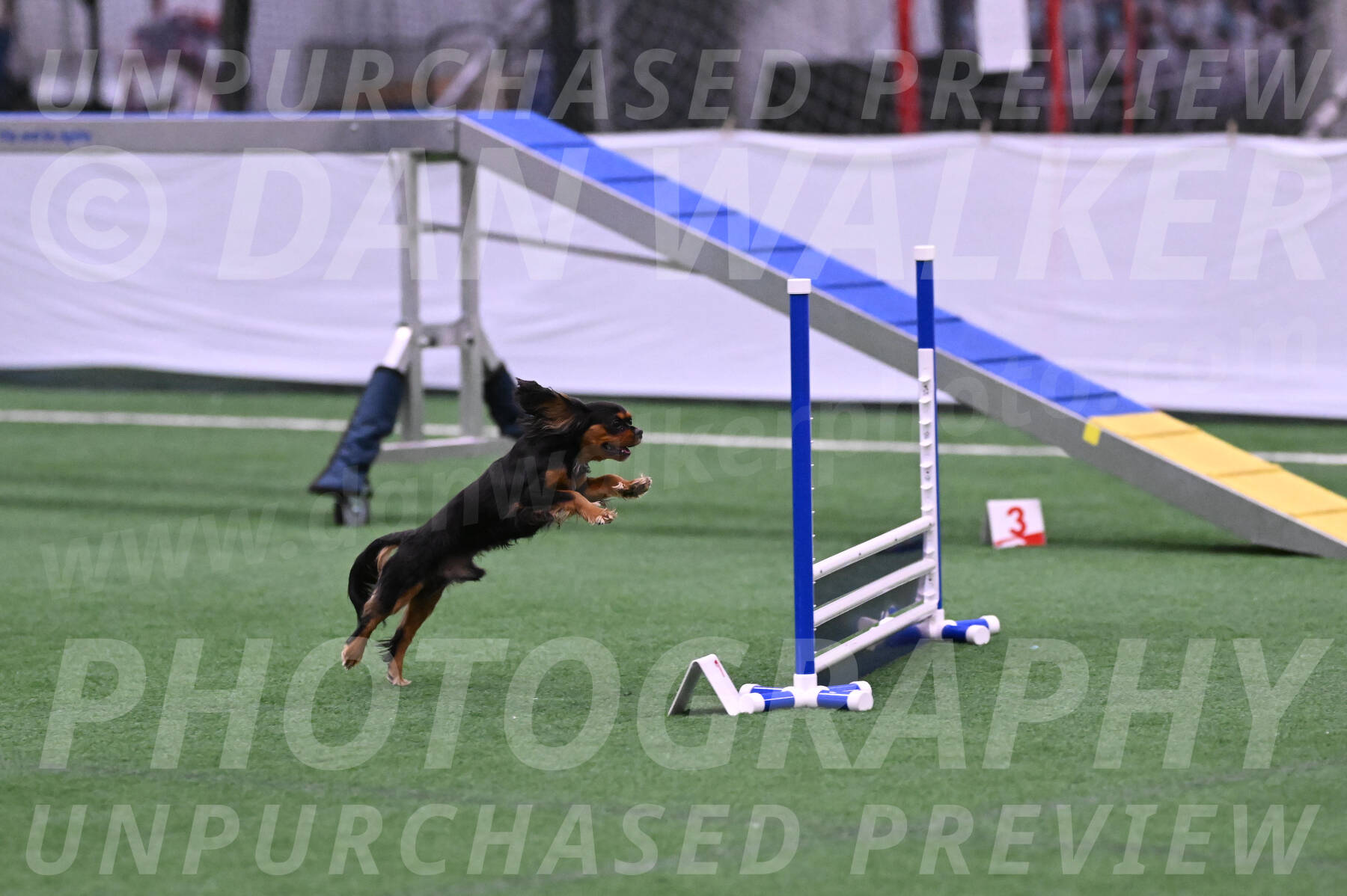 Max-Roger-Jones-05075