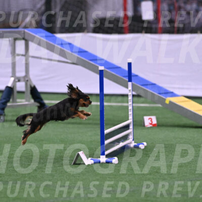 Max-Roger-Jones-05076