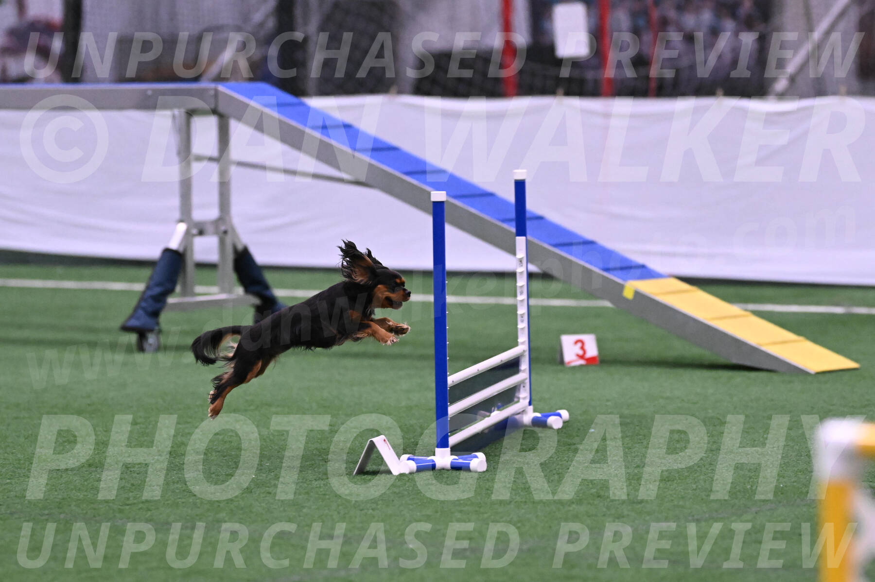 Max-Roger-Jones-05076
