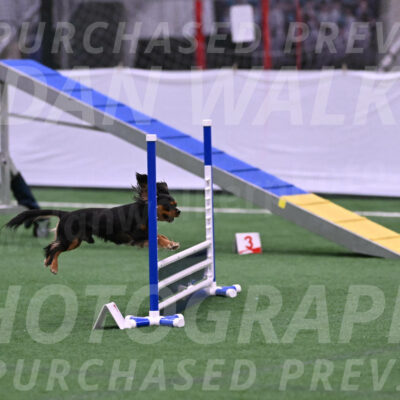 Max-Roger-Jones-05077