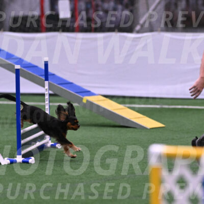 Max-Roger-Jones-05079