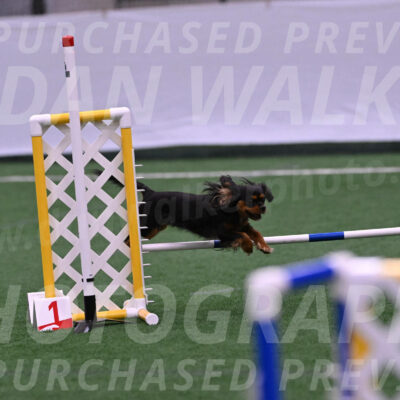 Max-Roger-Jones-05083