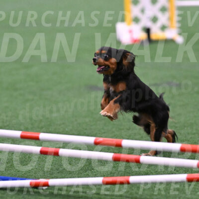 Max-Roger-Jones-05087