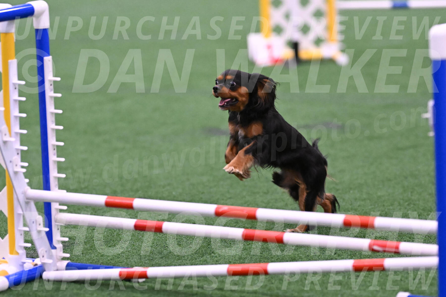 Max-Roger-Jones-05087