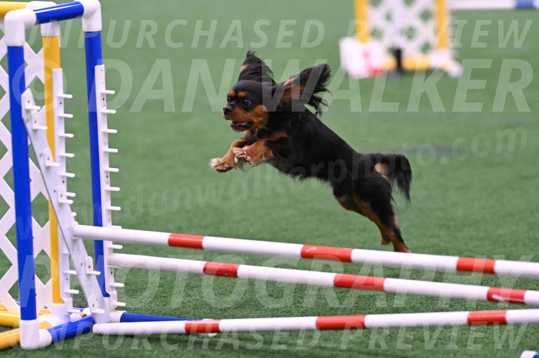 Max-Roger-Jones-05088