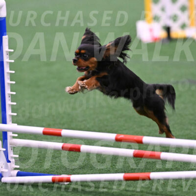 Max-Roger-Jones-05088
