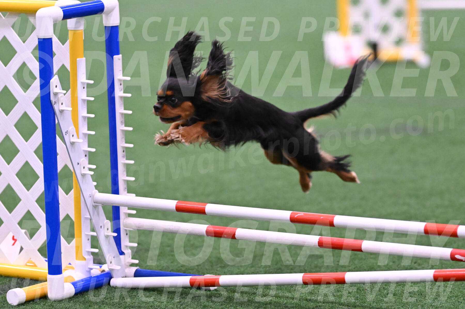 Max-Roger-Jones-05089