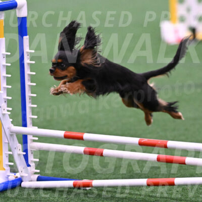 Max-Roger-Jones-05089
