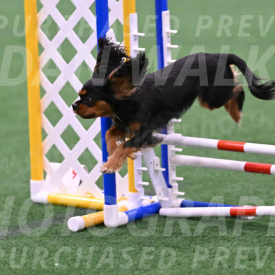 Max-Roger-Jones-05091