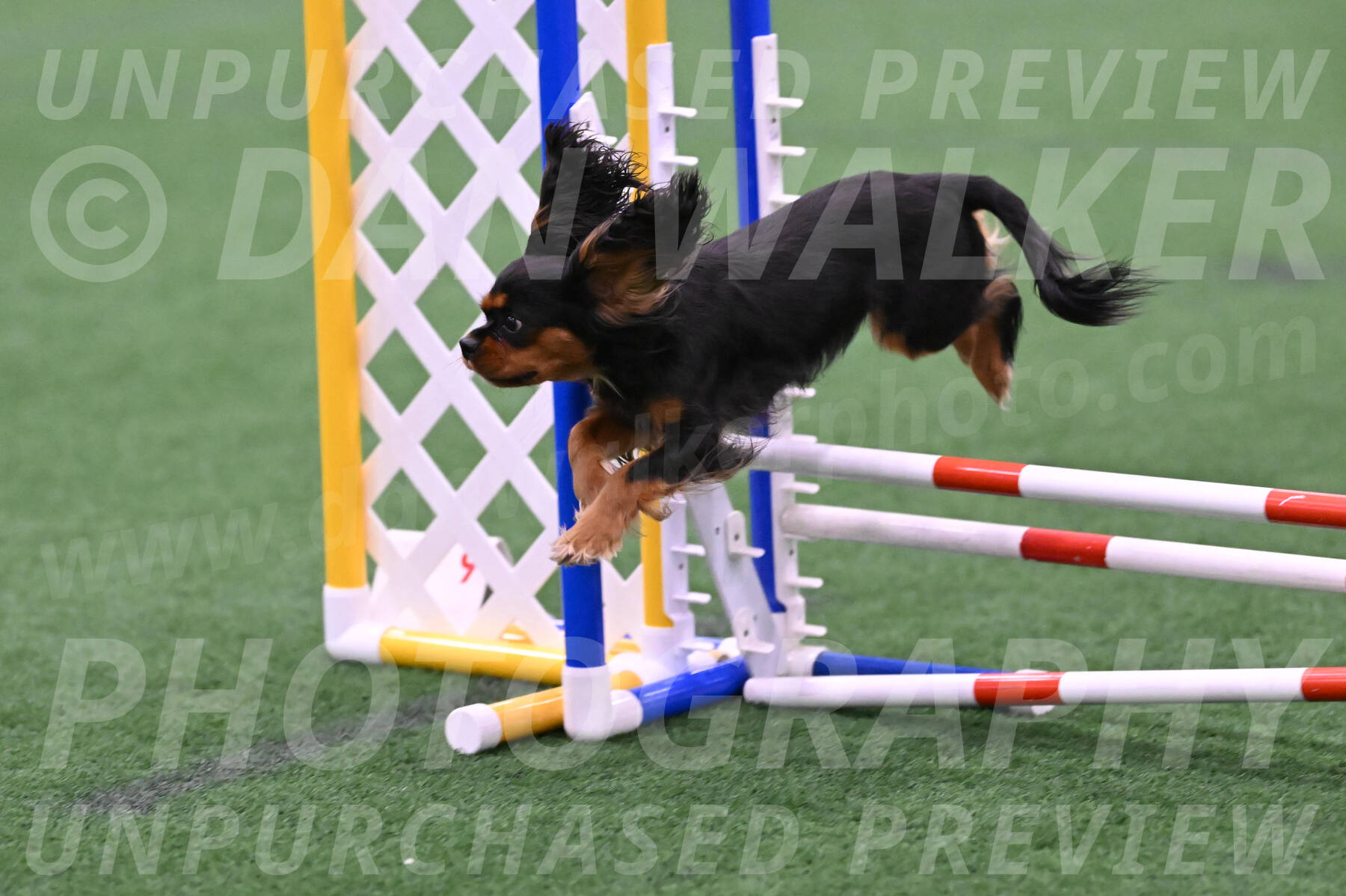 Max-Roger-Jones-05091