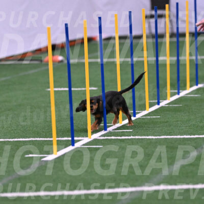Max-Roger-Jones-05097