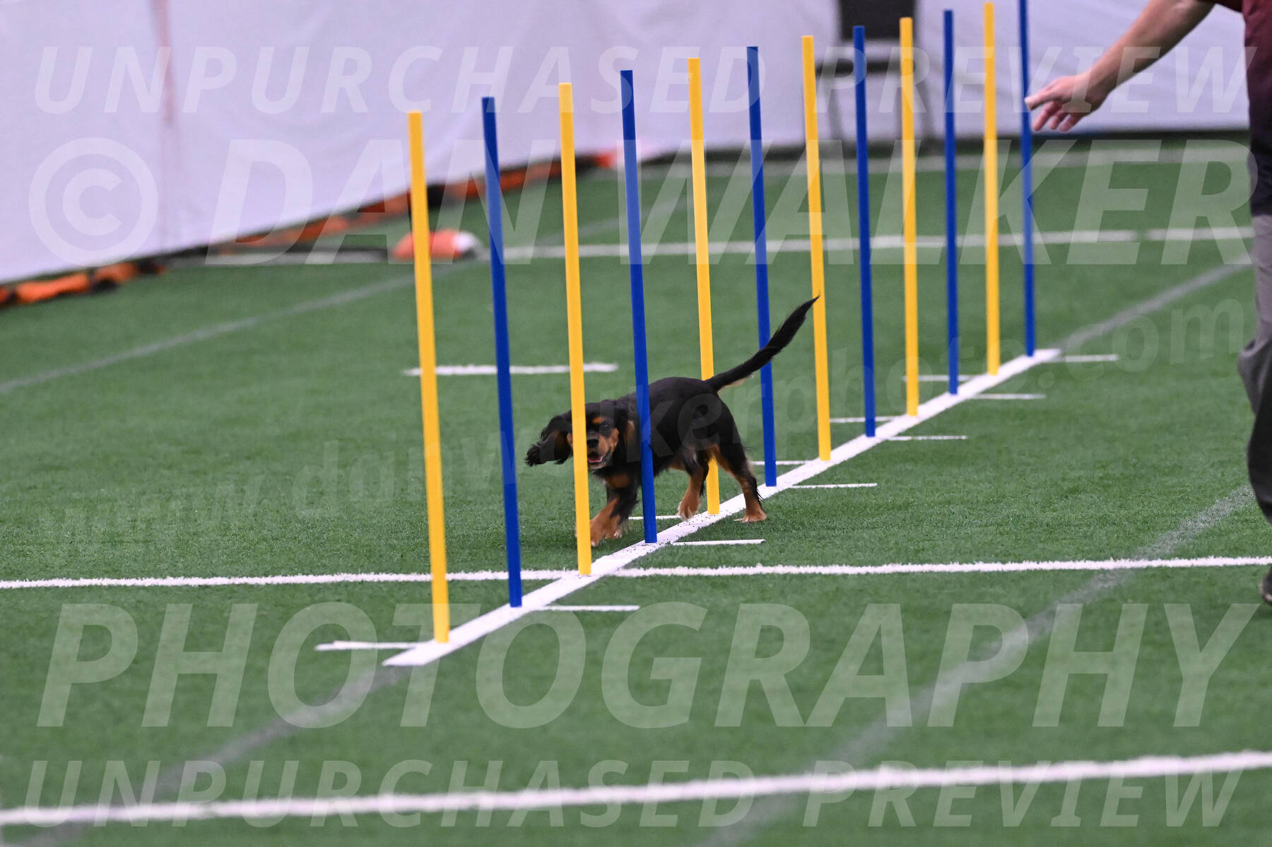 Max-Roger-Jones-05097