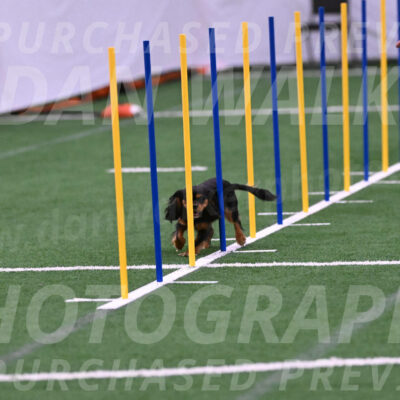Max-Roger-Jones-05099