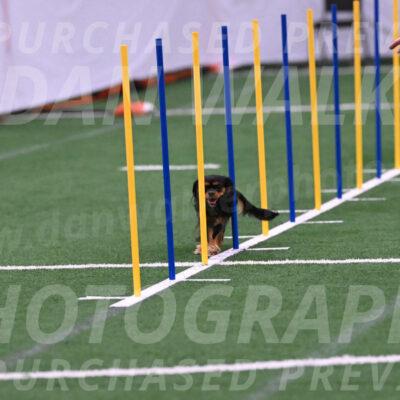 Max-Roger-Jones-05100