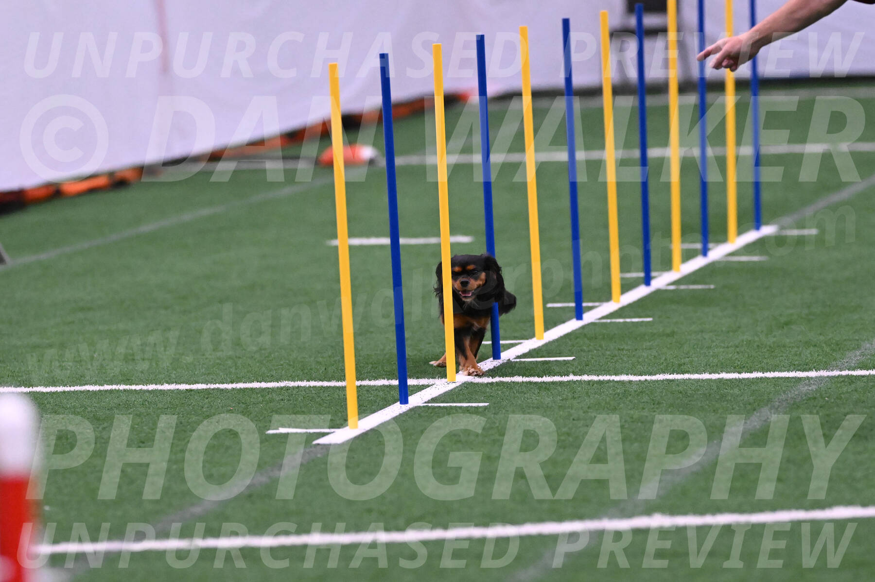 Max-Roger-Jones-05101