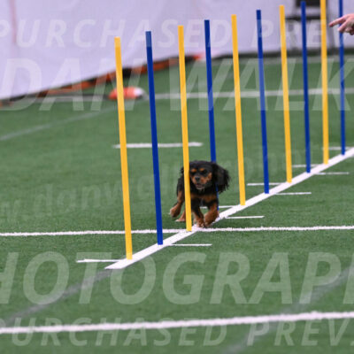 Max-Roger-Jones-05102
