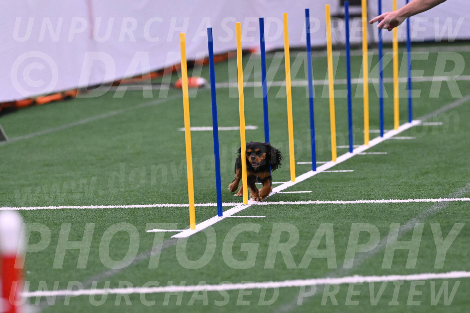 Max-Roger-Jones-05102